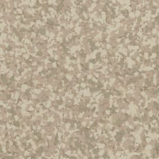 FB-101 Fritter flake color sample